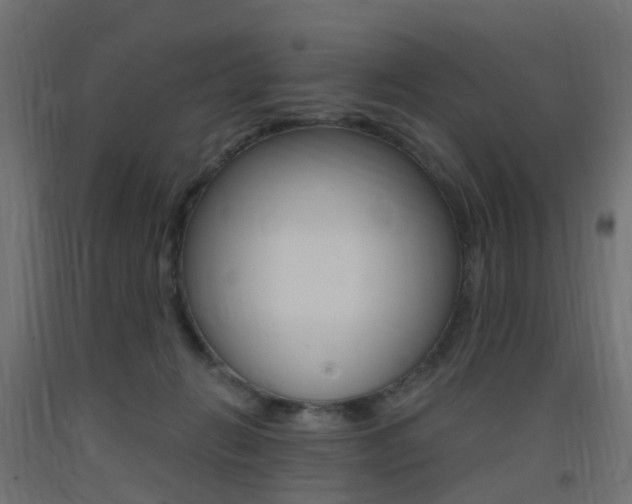 X0000093400270200710120902