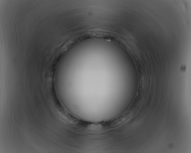 X0000093400271200710120902