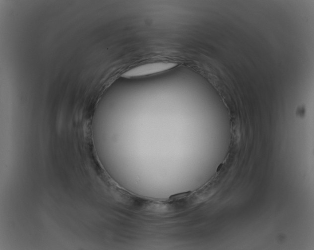 X0000093400276200710120902