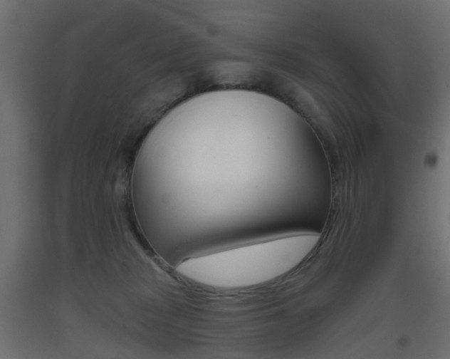 X0000093400277200710120902