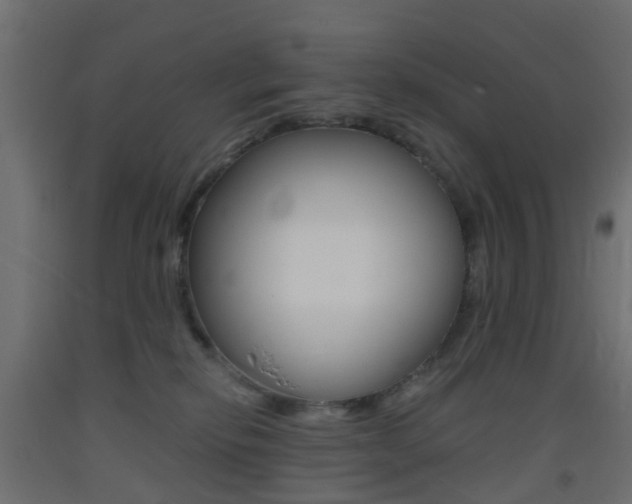 X0000093400278200710120902