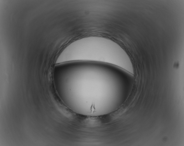X0000093400280200710120902