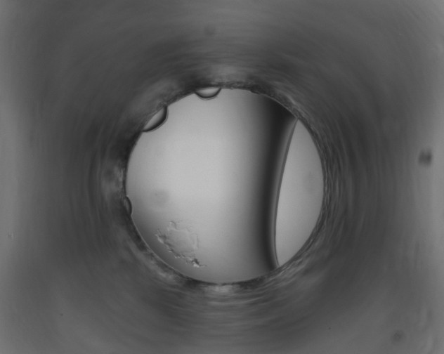 X0000093400281200710120902