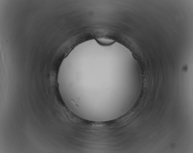 X0000093400283200710120902