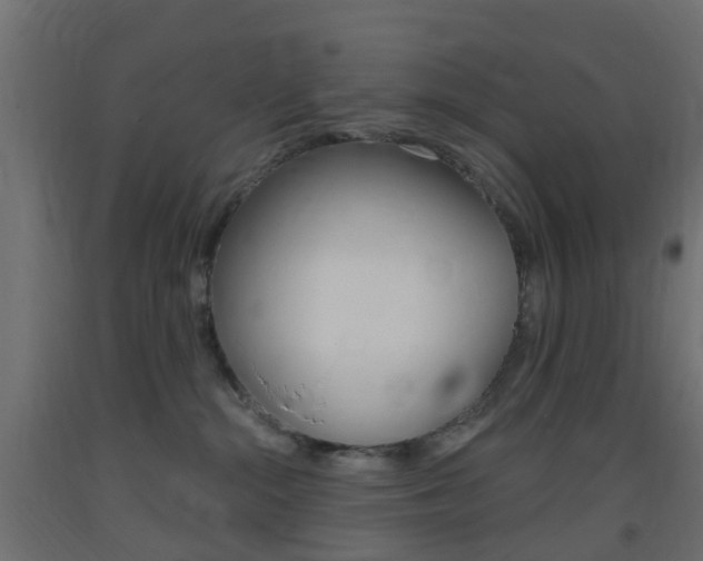 X0000093400284200710120902
