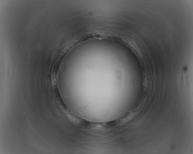 X0000093400285200710120902