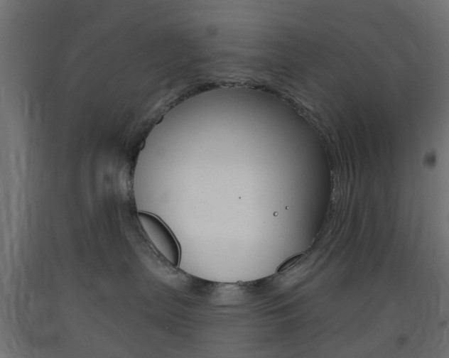 X0000093400287200710120902