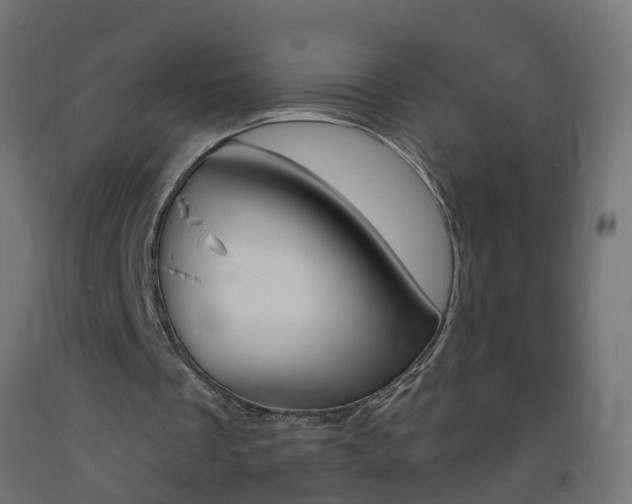 X0000093400289200710120901