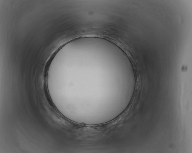 X0000093400290200710120901