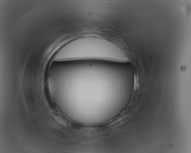 X0000093400291200710120901