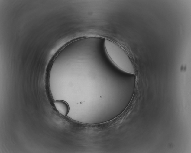 X0000093400292200710120901