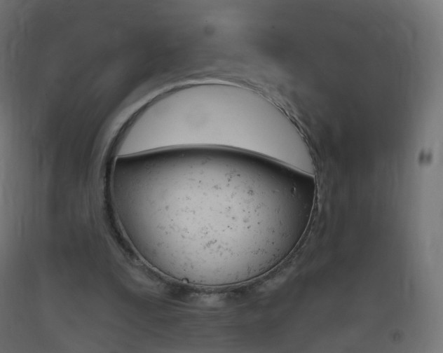 X0000093400295200710120901