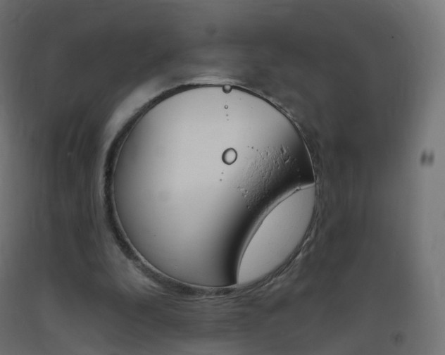 X0000093400296200710120901