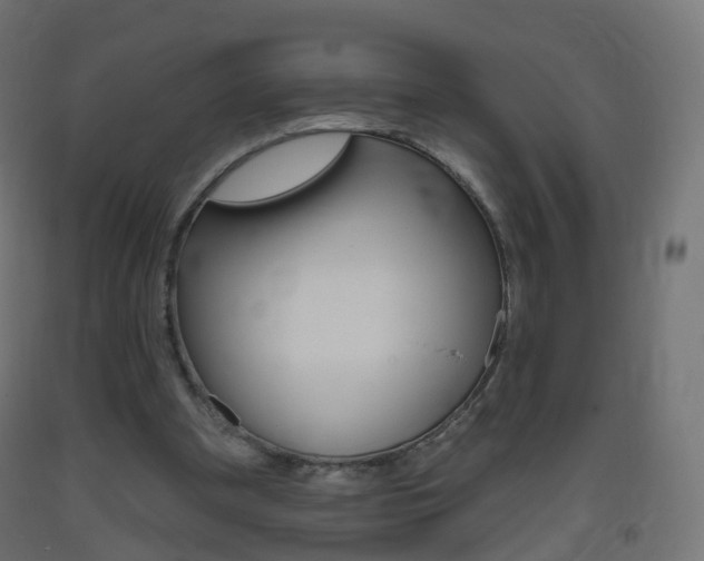 X0000093400297200710120901