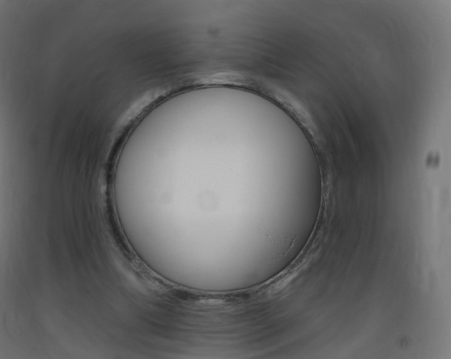 X0000093400298200710120901