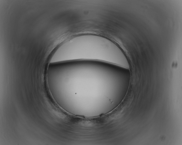 X0000093400299200710120901