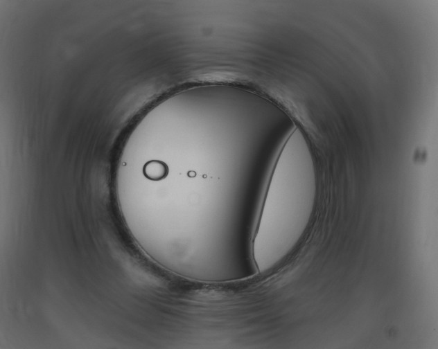 X0000093400300200710120901