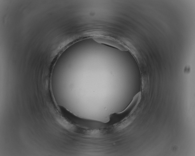 X0000093400301200710120901