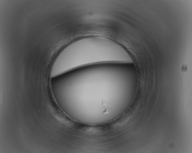 X0000093400303200710120901