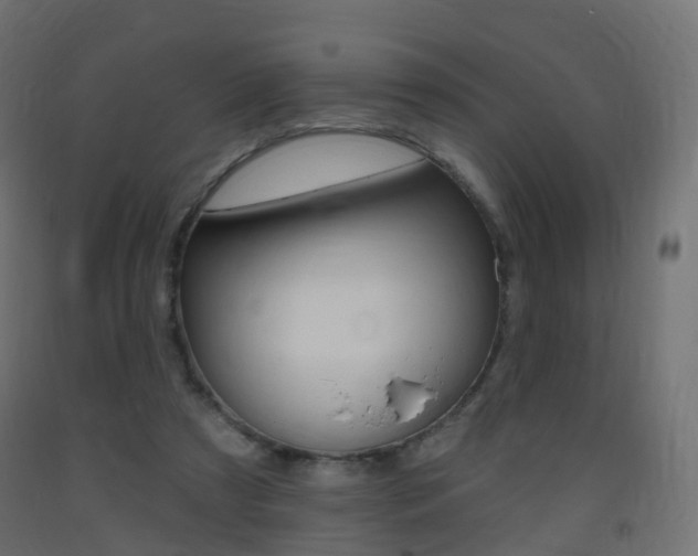 X0000093400305200710120901