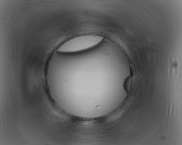 X0000093400306200710120901