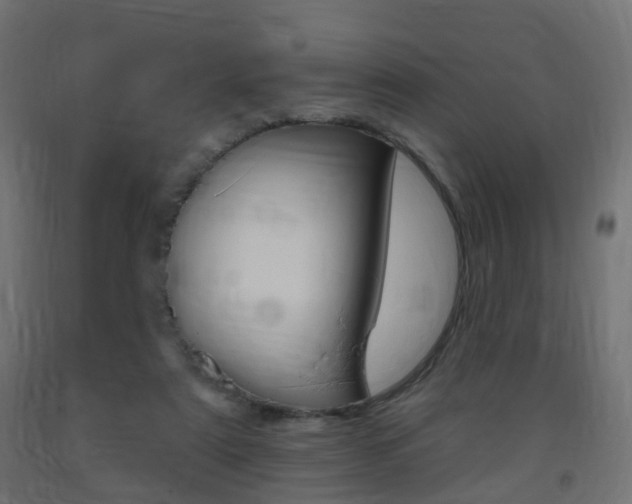 X0000093400307200710120901