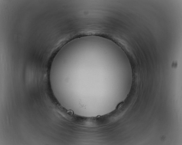 X0000093400308200710120901