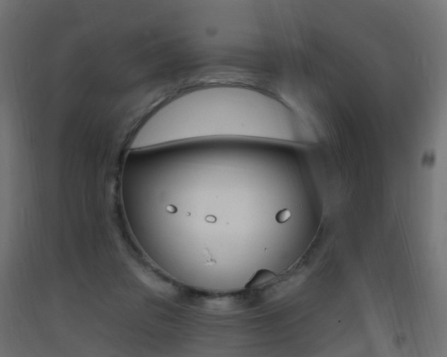 X0000093400309200710120901