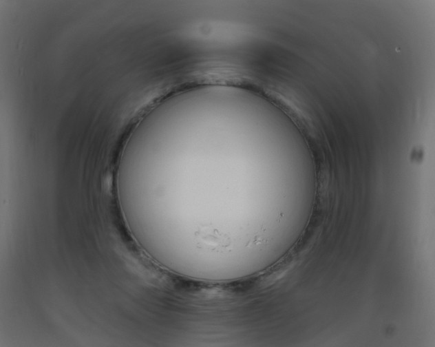 X0000093400310200710120901