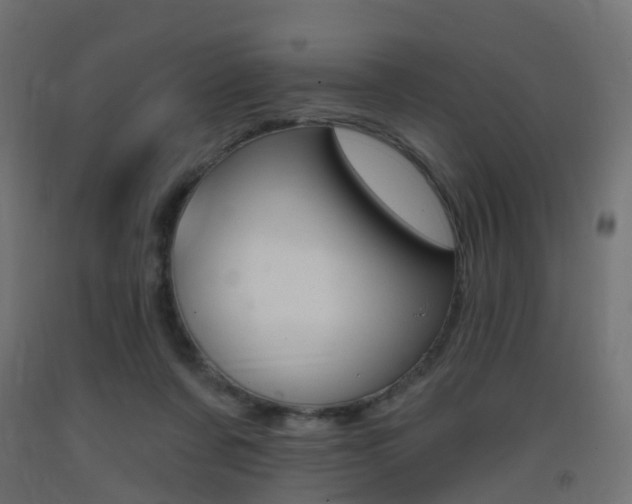 X0000093400311200710120901