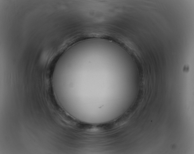 X0000093400312200710120901
