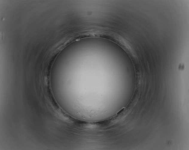 X0000093400313200710120901