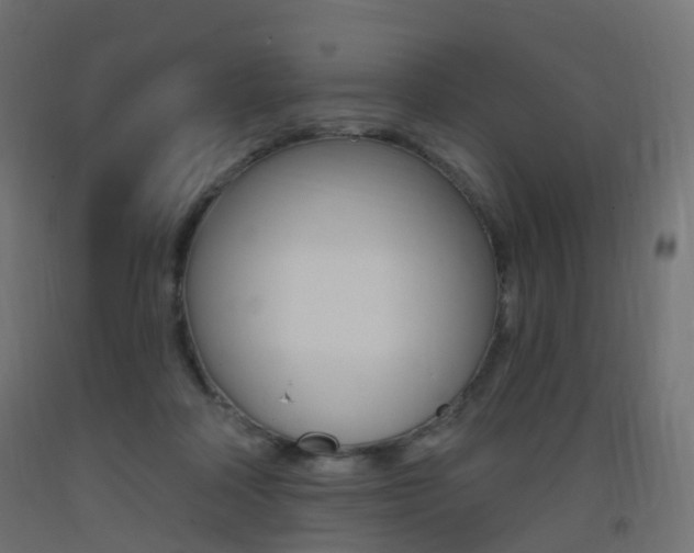 X0000093400314200710120901