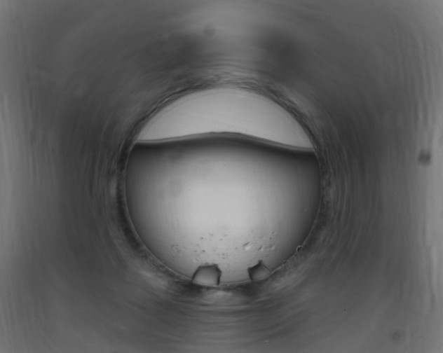 X0000093400315200710120901