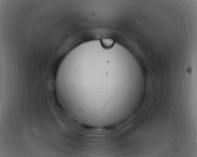 X0000093400316200710120901