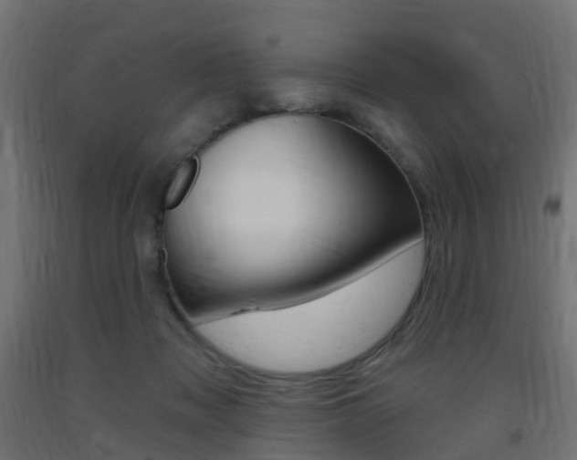 X0000093400317200710120901