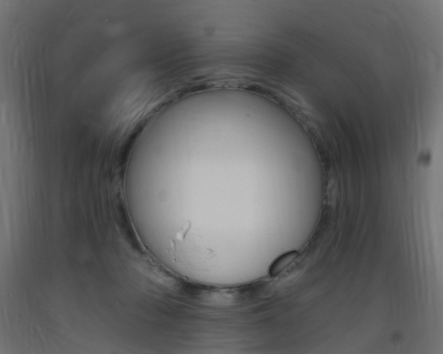 X0000093400318200710120901