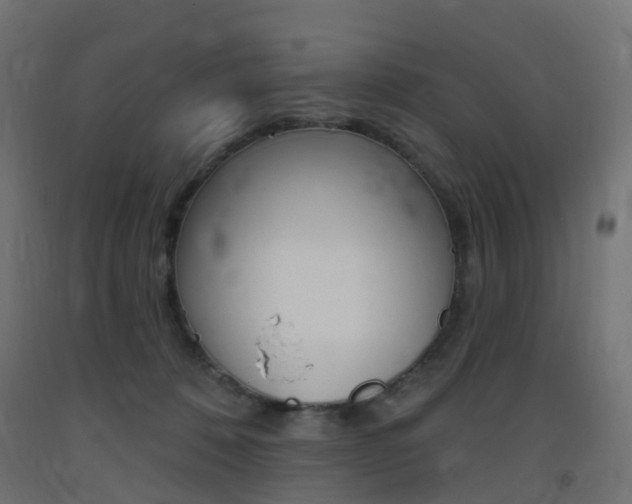 X0000093400320200710120901