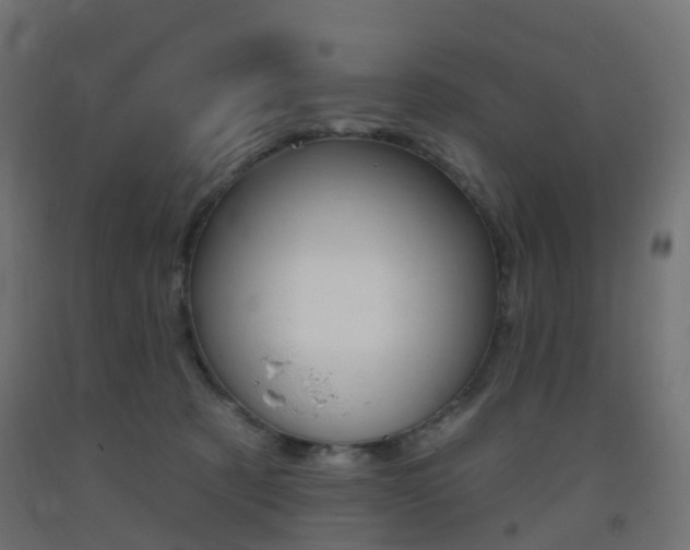 X0000093400321200710120901