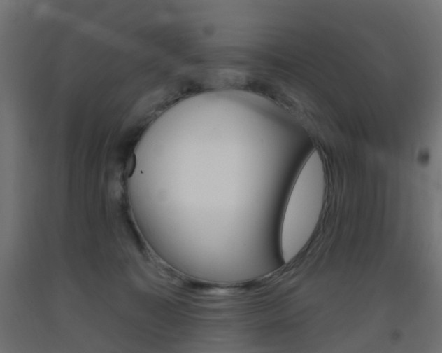 X0000093400323200710120901