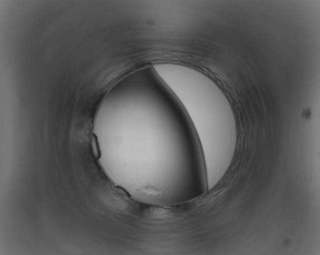 X0000093400325200710120901