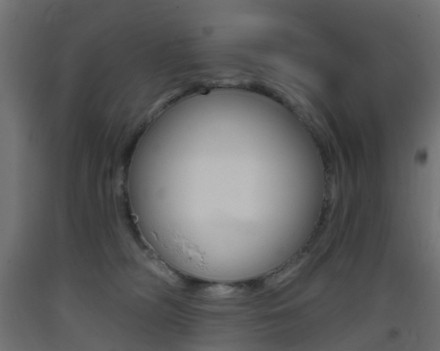 X0000093400326200710120901