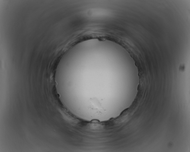 X0000093400327200710120901