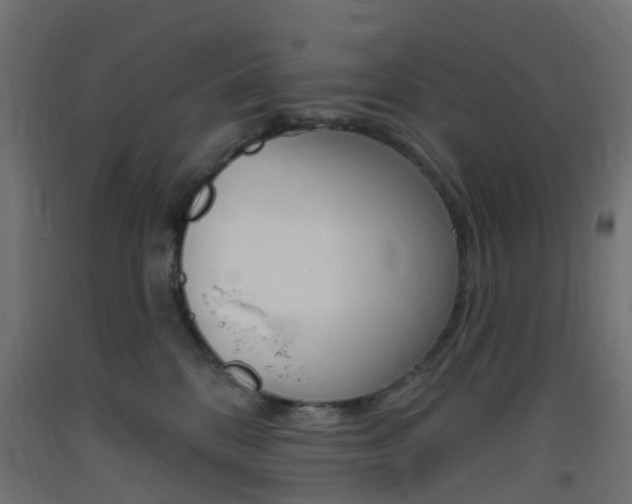 X0000093400328200710120901