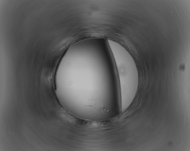 X0000093400329200710120901