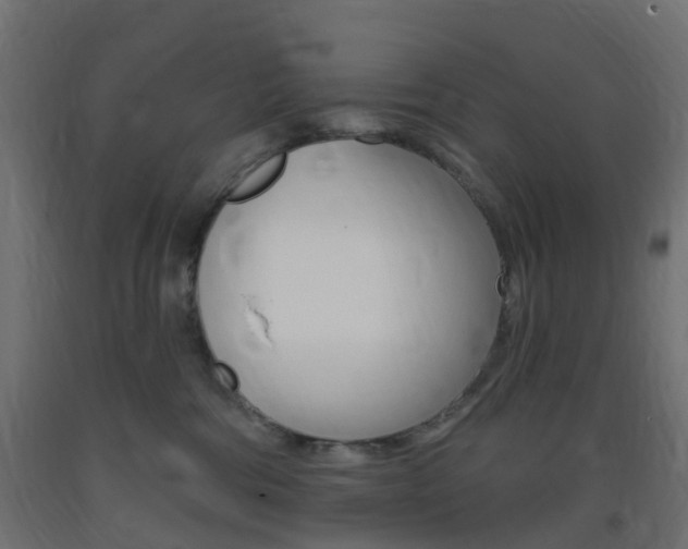 X0000093400330200710120901
