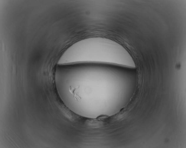 X0000093400331200710120901