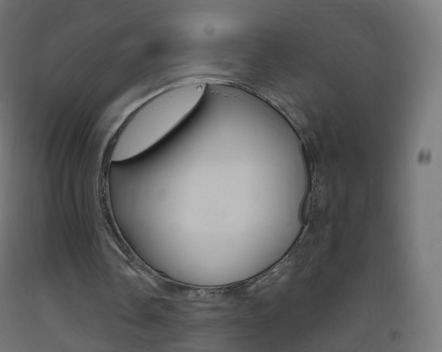 X0000093400338200710120900