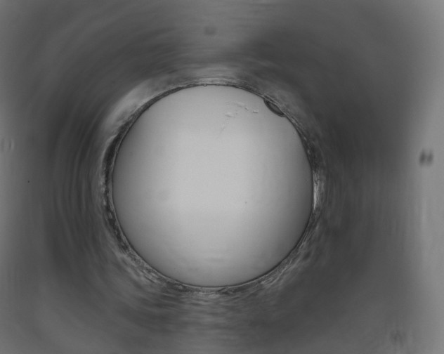 X0000093400339200710120900