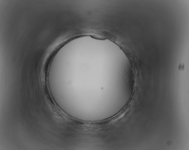 X0000093400343200710120900